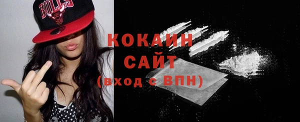 ГАЛЛЮЦИНОГЕННЫЕ ГРИБЫ Арсеньев