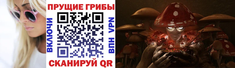 купить закладку  Рыбное  Галлюциногенные грибы Psilocybe 